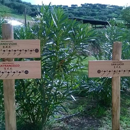 Villa Al Presti, Vacanze In Pieno Relax Cefalù Dış mekan fotoğraf