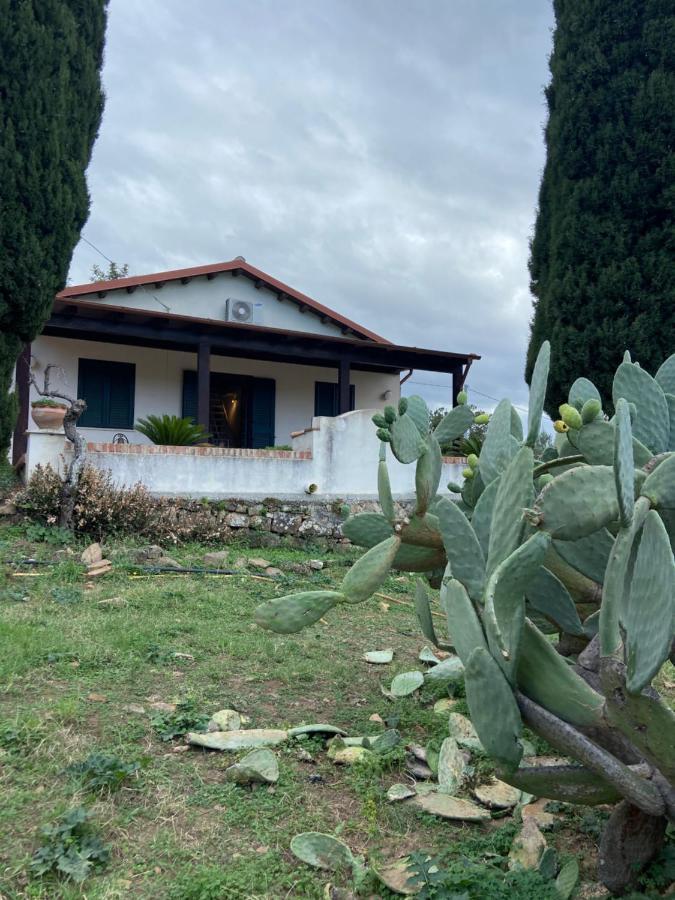 Villa Al Presti, Vacanze In Pieno Relax Cefalù Dış mekan fotoğraf