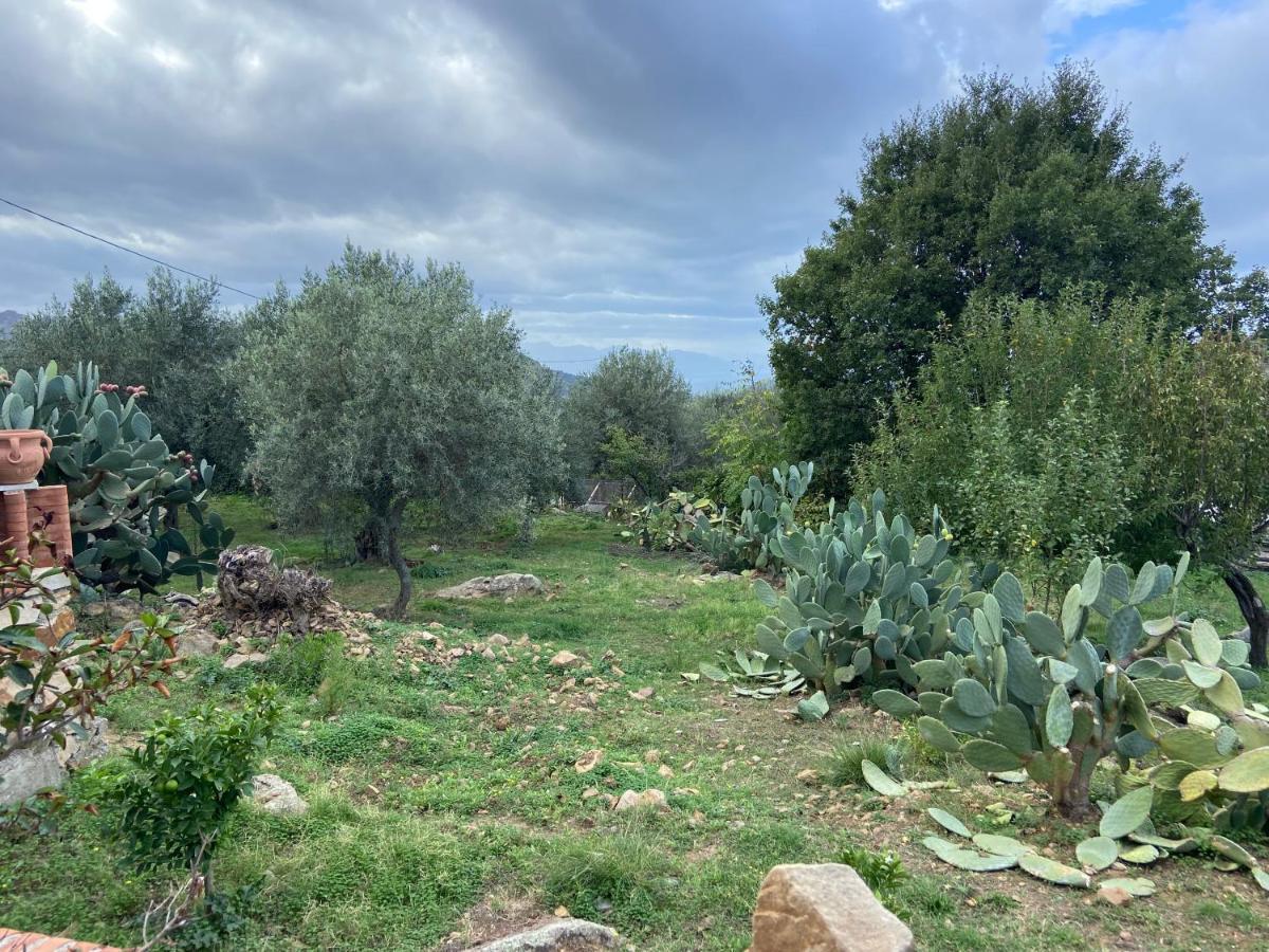Villa Al Presti, Vacanze In Pieno Relax Cefalù Dış mekan fotoğraf