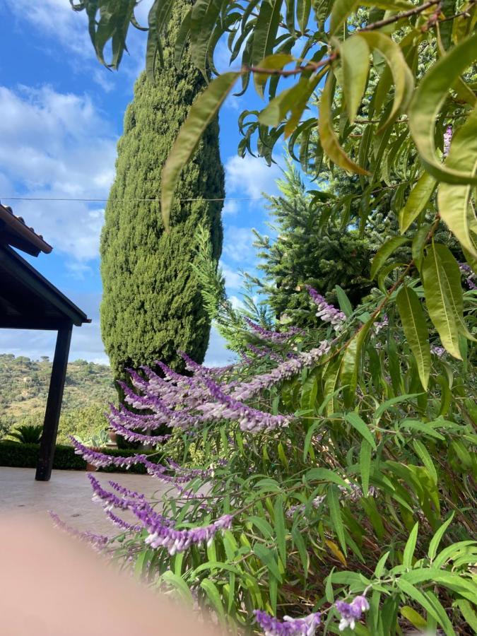 Villa Al Presti, Vacanze In Pieno Relax Cefalù Dış mekan fotoğraf