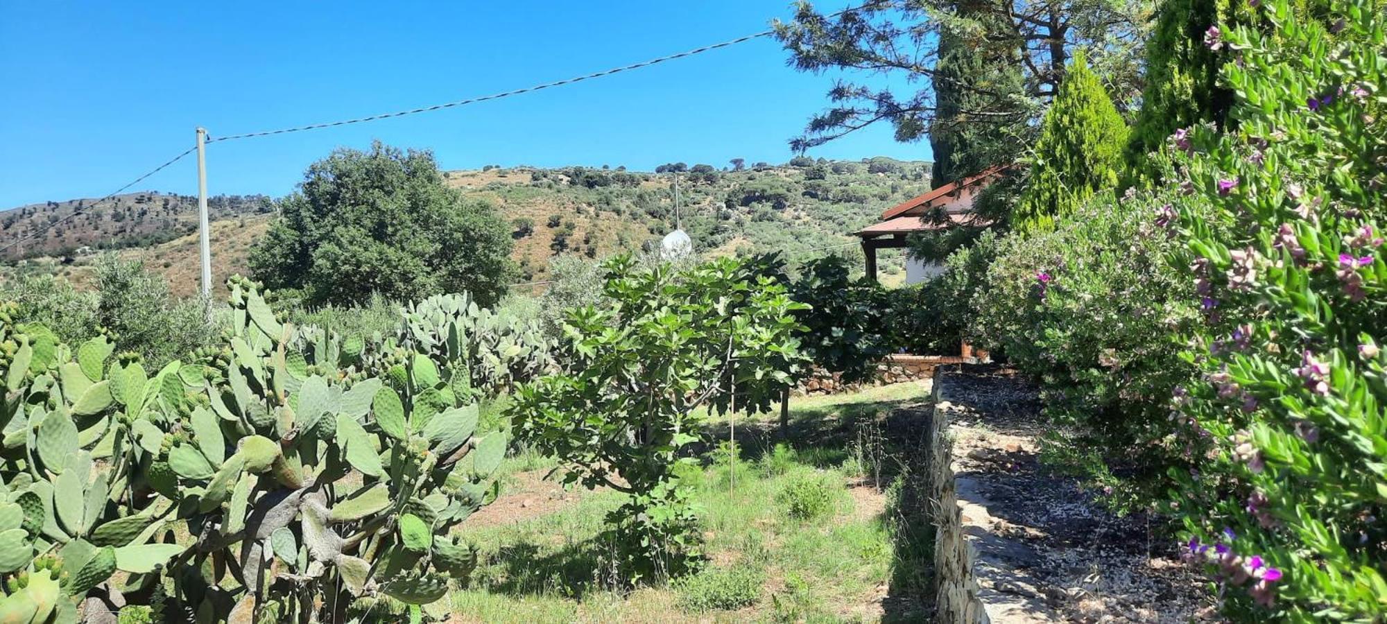Villa Al Presti, Vacanze In Pieno Relax Cefalù Dış mekan fotoğraf