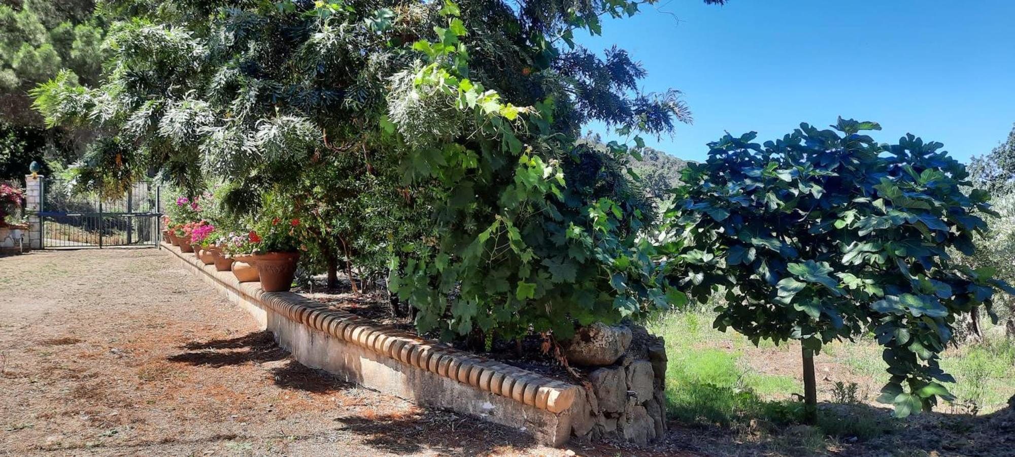 Villa Al Presti, Vacanze In Pieno Relax Cefalù Dış mekan fotoğraf